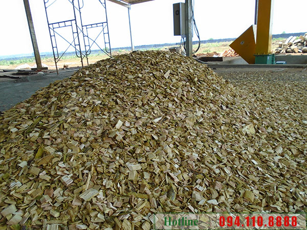 Dăm gỗ đạt độ đồng đều về kích thước, đạt chất lượng xuất khẩu.
