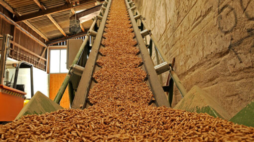 Mùn cưa là nguyên liệu sản xuất viên nén gỗ wood pellet