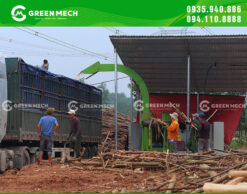 Công nhân vận hành máy băm gỗ 10 tấn GREEN MECH
