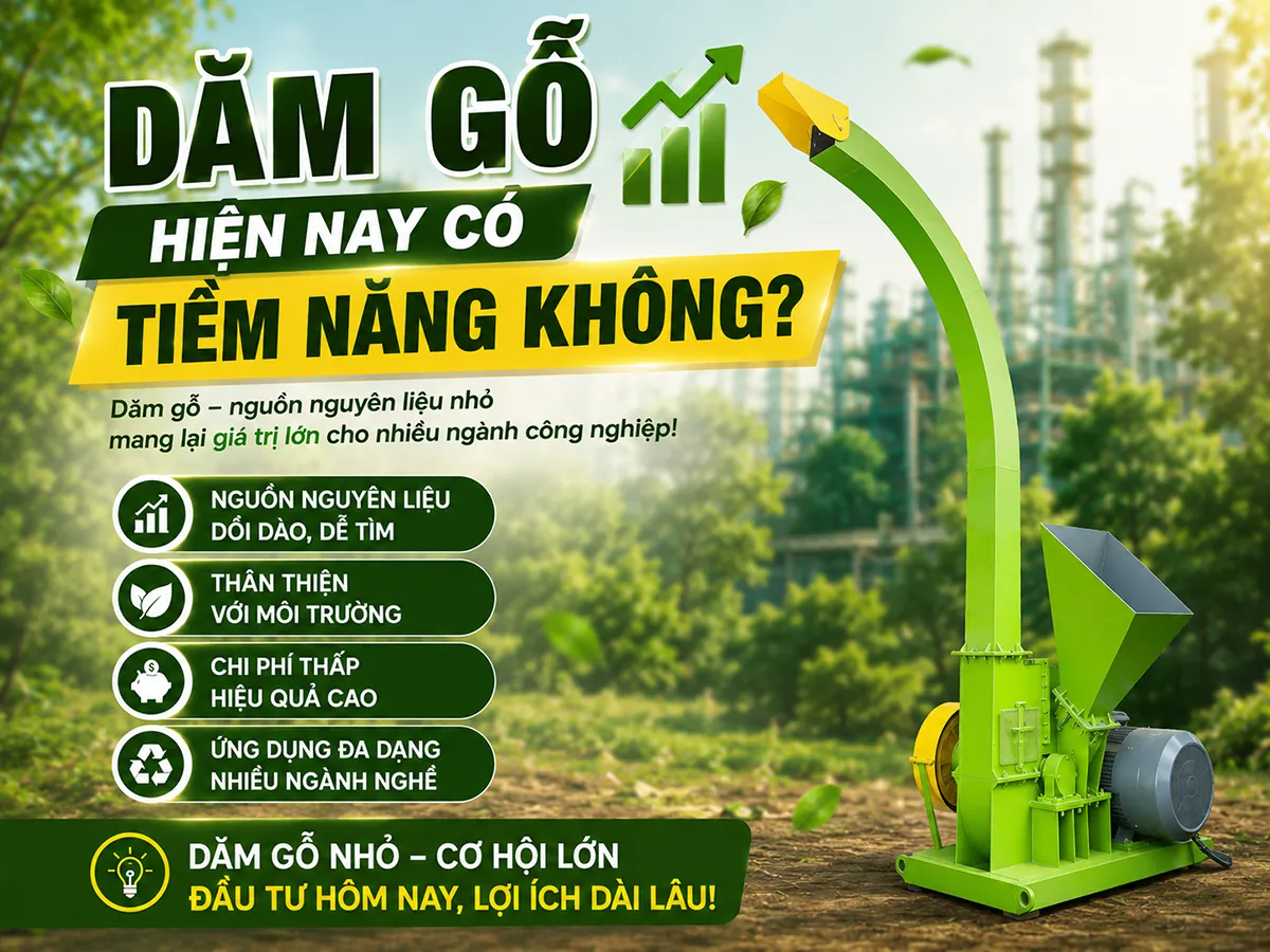 Dăm gỗ hiện nay có tiềm năng không? Thị trường và nhu cầu thực tế đang cho thấy nhiều tín hiệu tích cực.