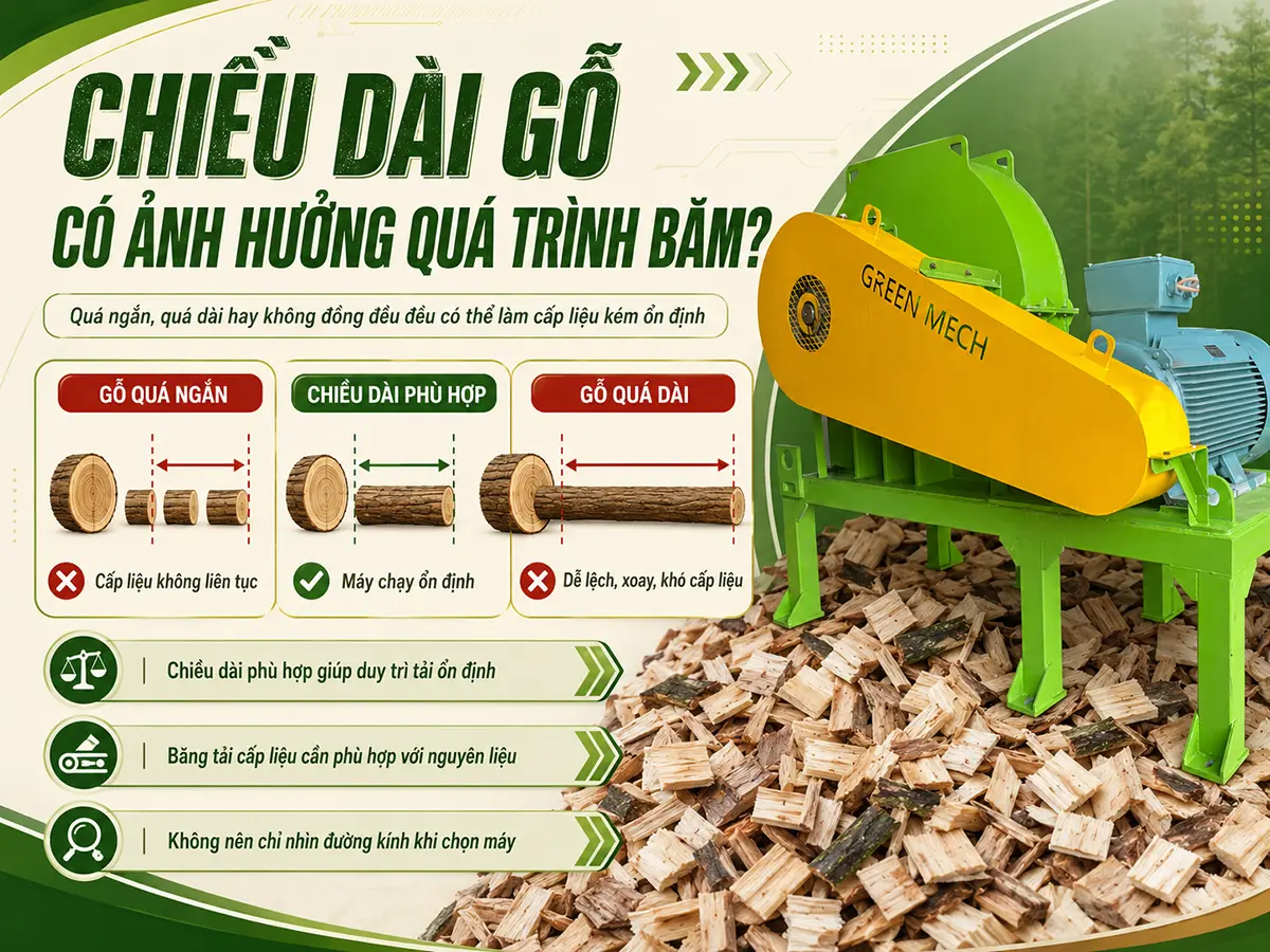 Chiều dài gỗ có ảnh hưởng quá trình băm thông qua khả năng định hướng nguyên liệu, độ liên tục khi cấp liệu và mức biến động tải của động cơ trong quá trình vận hành.
